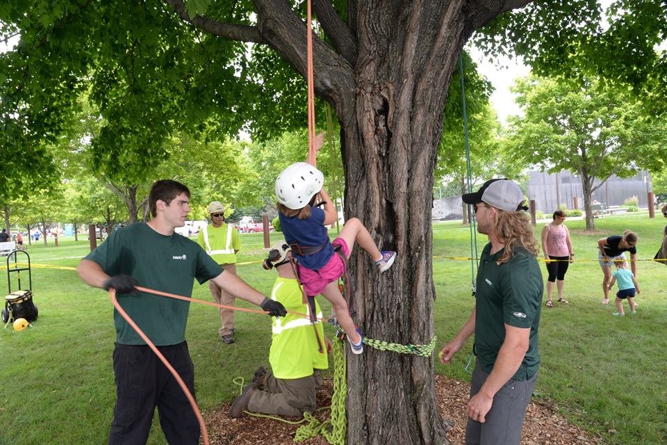 Maier Tree Climb